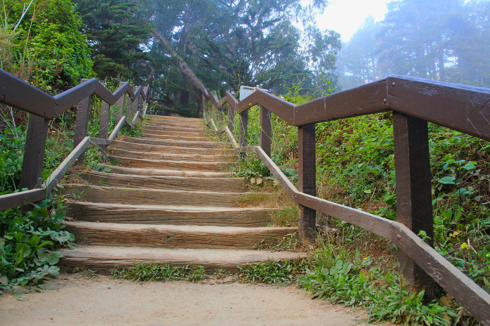 Nature Photography