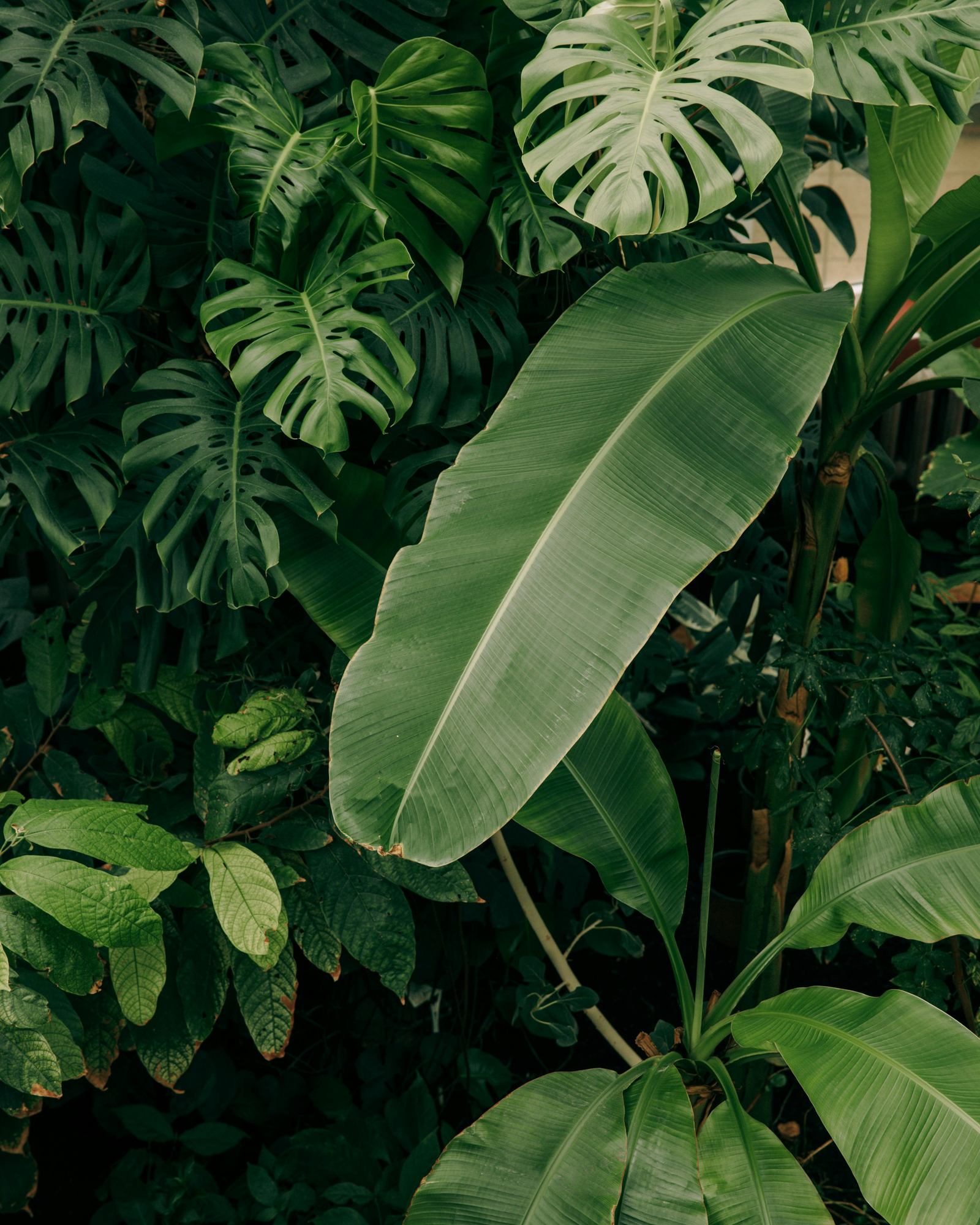 Greenery & Planting